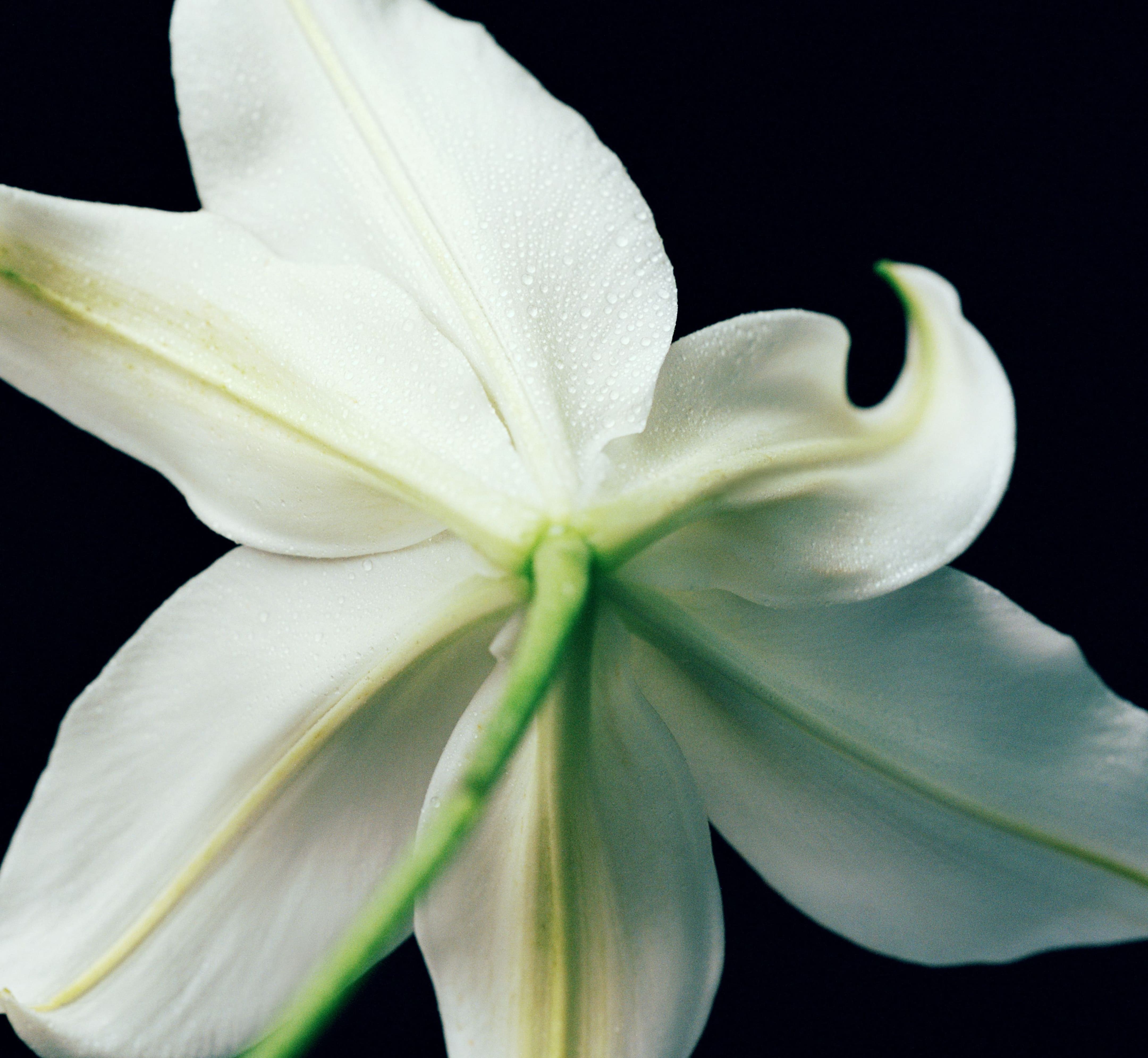 slick-47769917653242